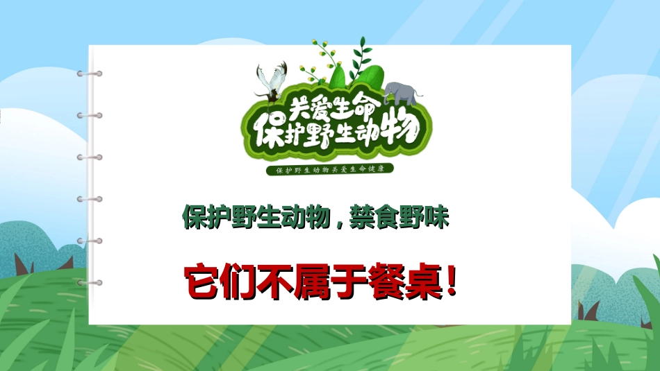 保护野生动物72.ppt_第2页