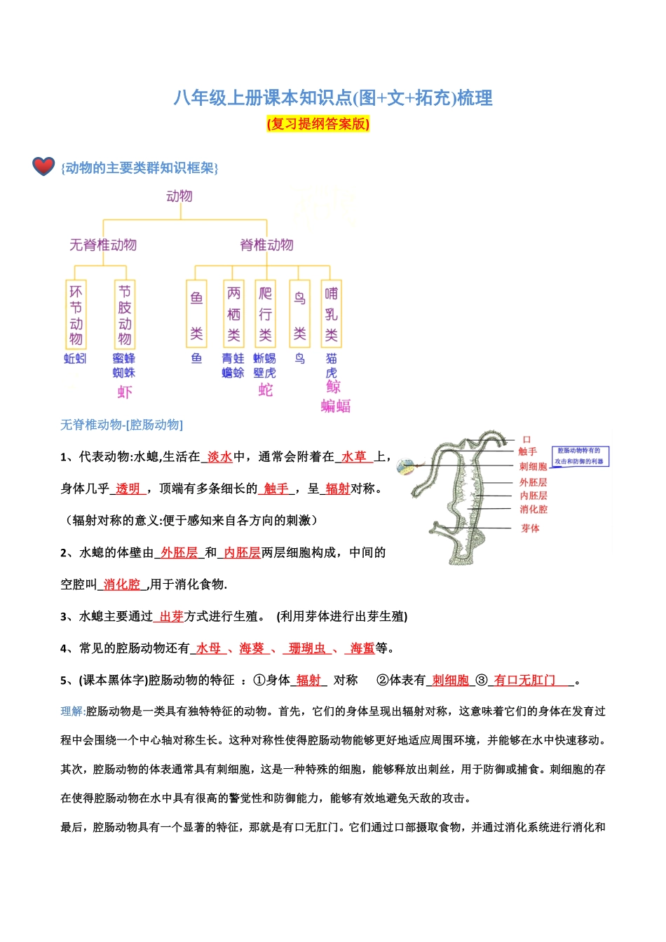 八年级上册知识点复习提纲(答案版).pdf_第1页