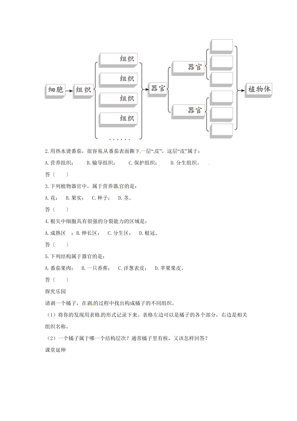 植物体的结构层次课时练试卷5含答案.pdf_第2页