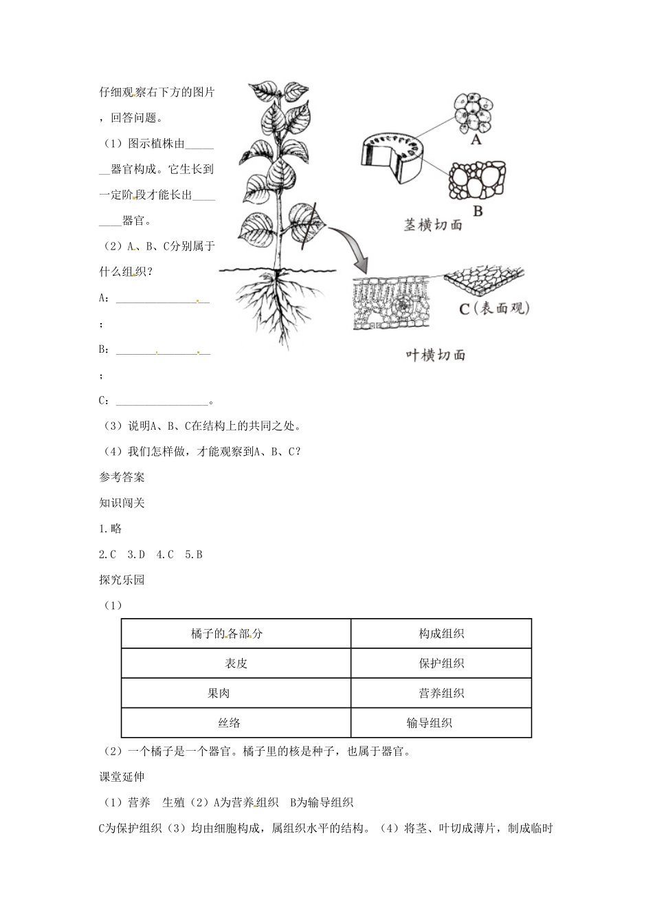 植物体的结构层次课时练试卷5含答案.pdf_第3页