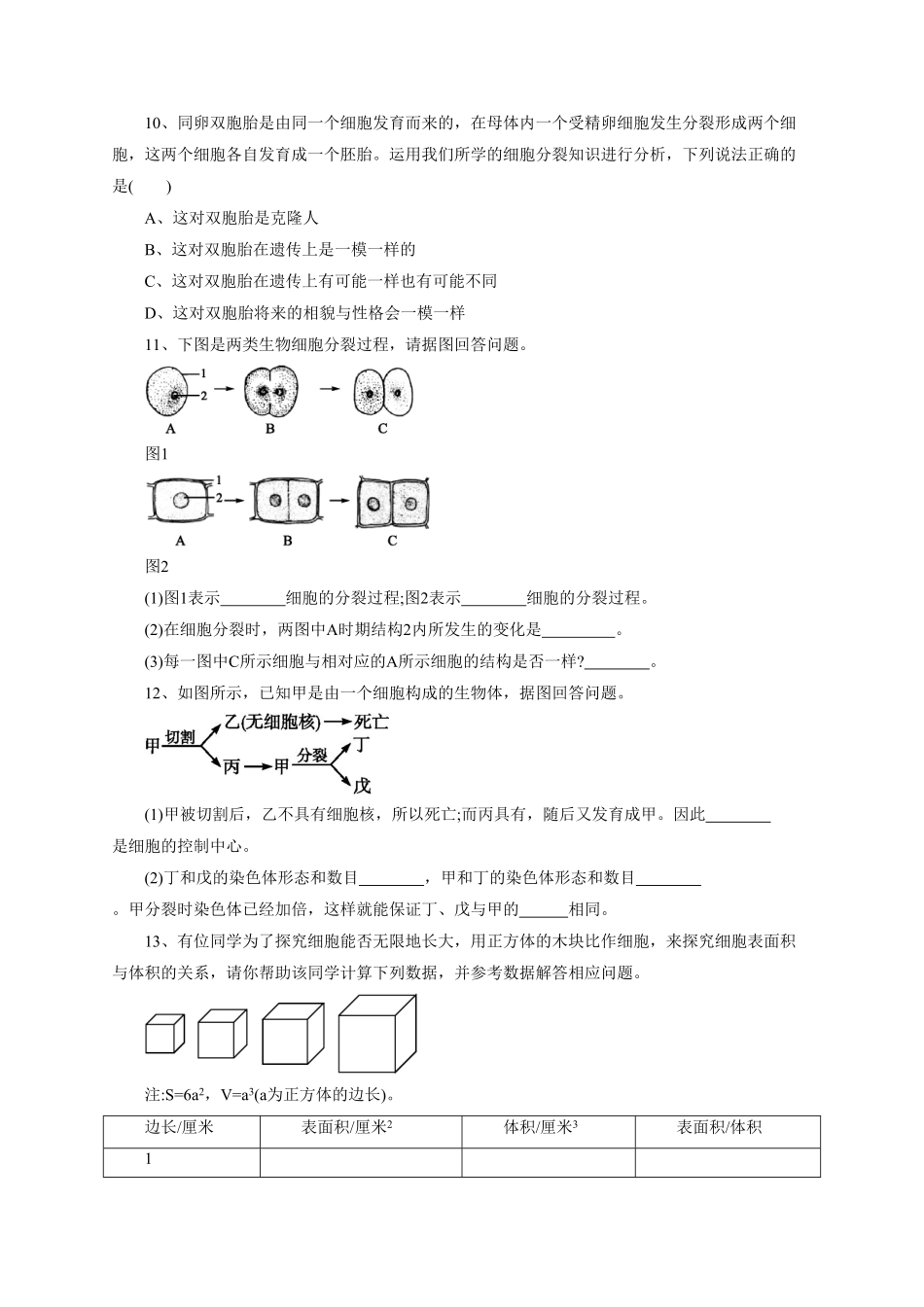 《细胞通过分裂产生新细胞》课时练试卷4含答案.pdf_第2页