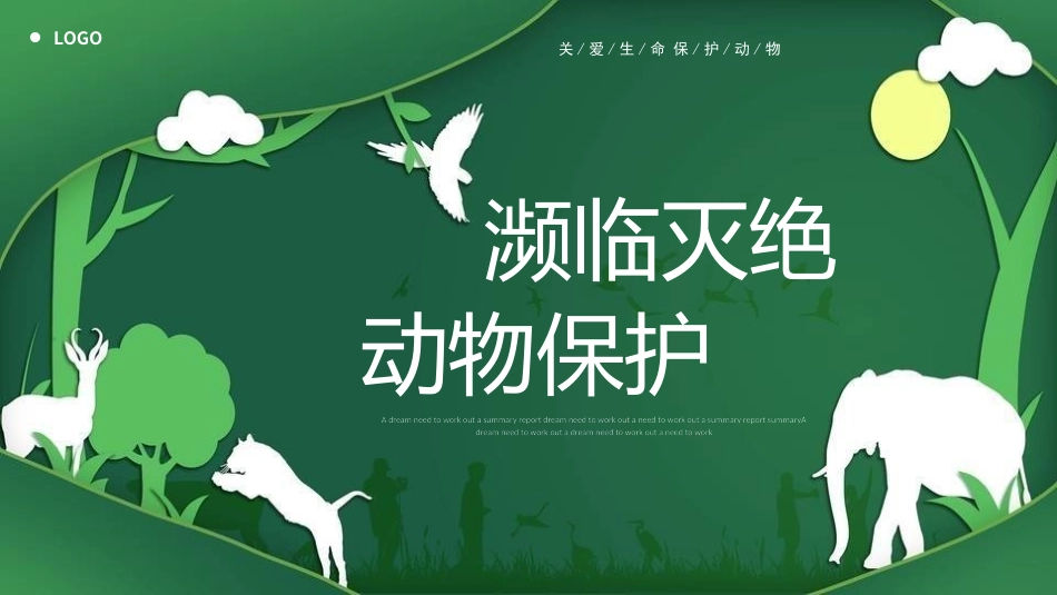 保护野生动物 保护动物 34.pptx_第1页