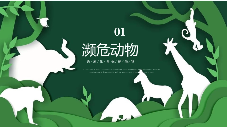 保护野生动物 保护动物 34.pptx_第3页