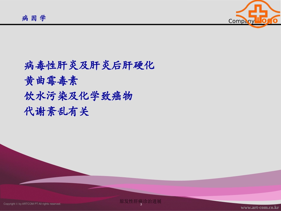 原发性肝癌诊治进展培训课件.pptx_第3页