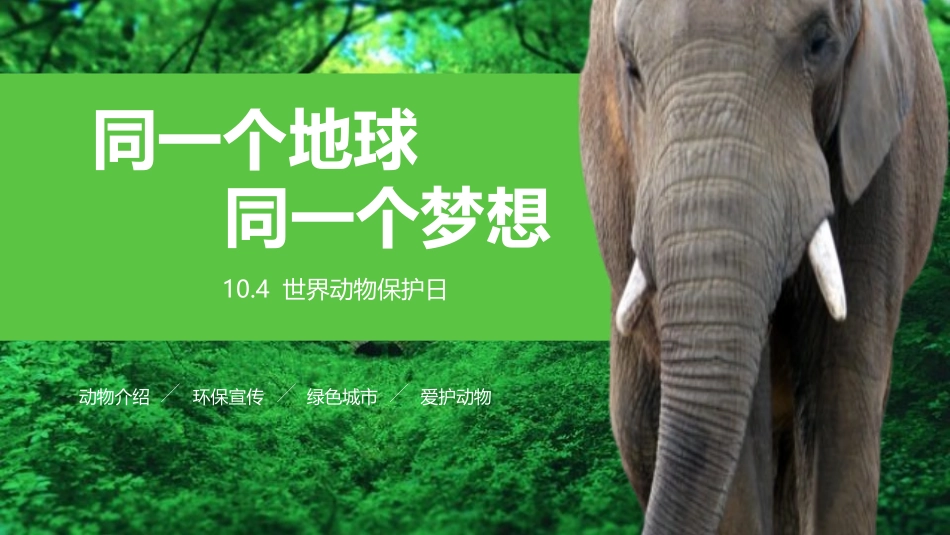 保护野生动物保护动物4.pptx_第1页