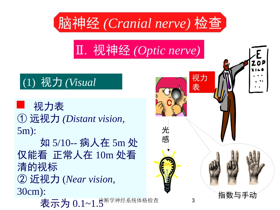 诊断学神经系统体格检查培训课件.pptx_第3页