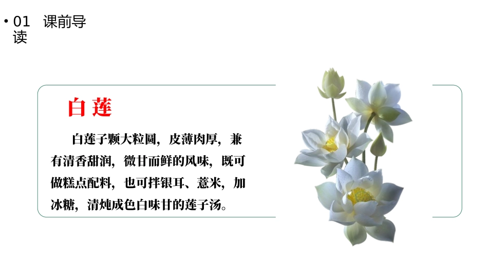 人教版一年级语文下册古诗两首课件.pptx_第3页