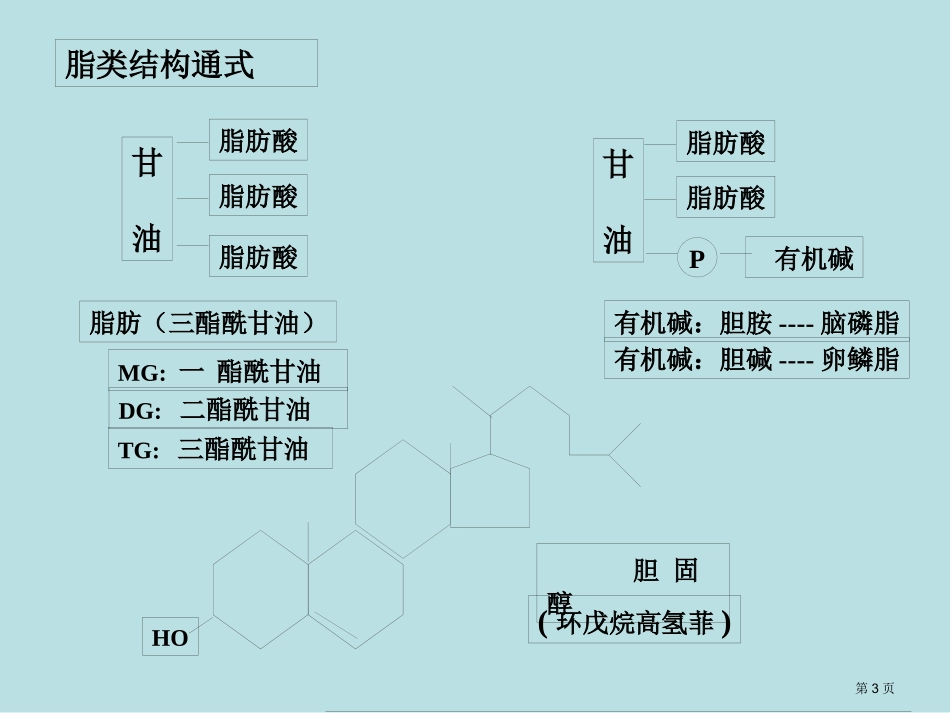 脂质和生物膜名师优质课赛课一等奖市公开课获奖课件.pptx_第3页