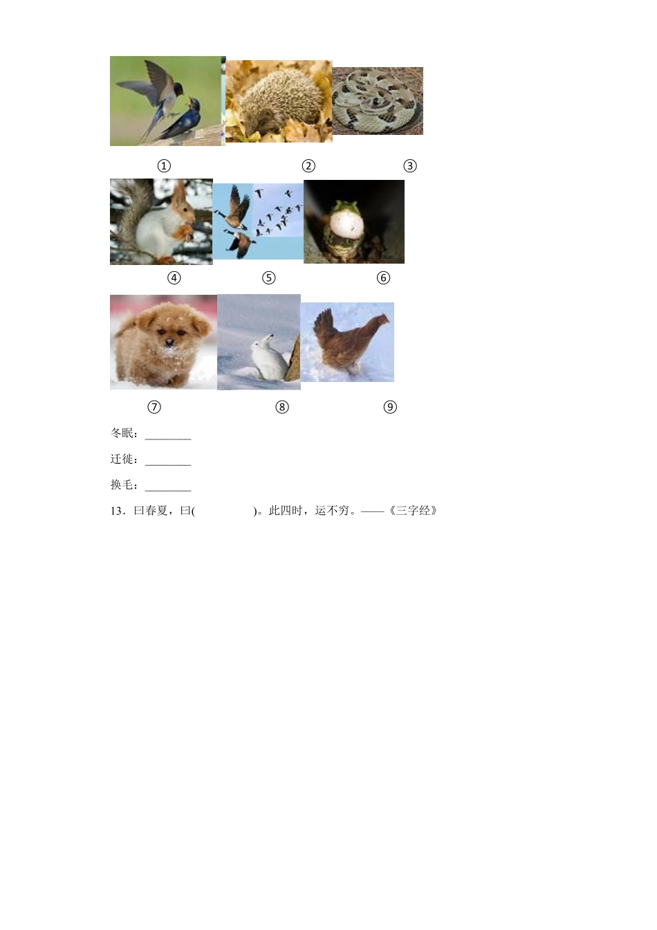部编版一年级上册道德与法治 第4单元《美丽的冬天》 课时练习 含答案.pdf_第2页