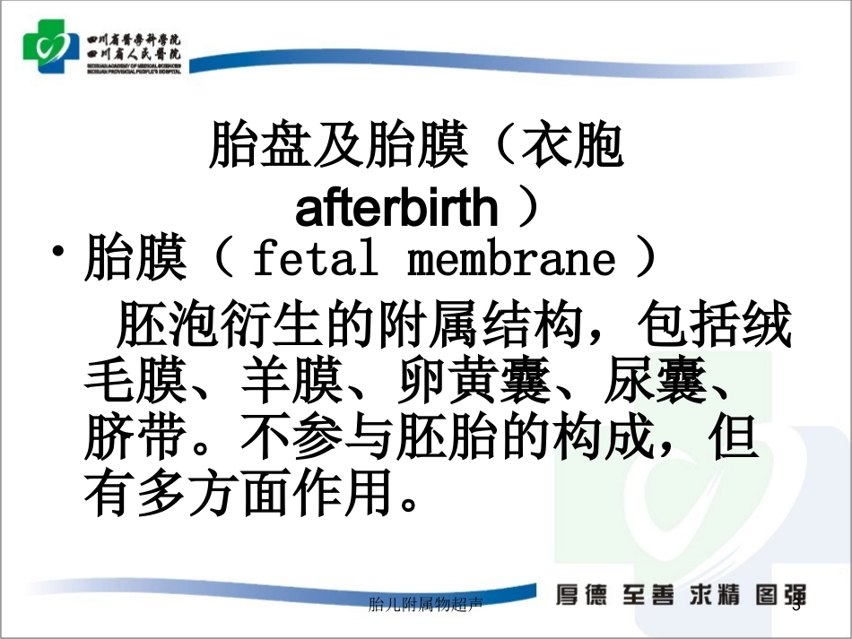 胎儿附属物超声培训课件.pptx_第3页