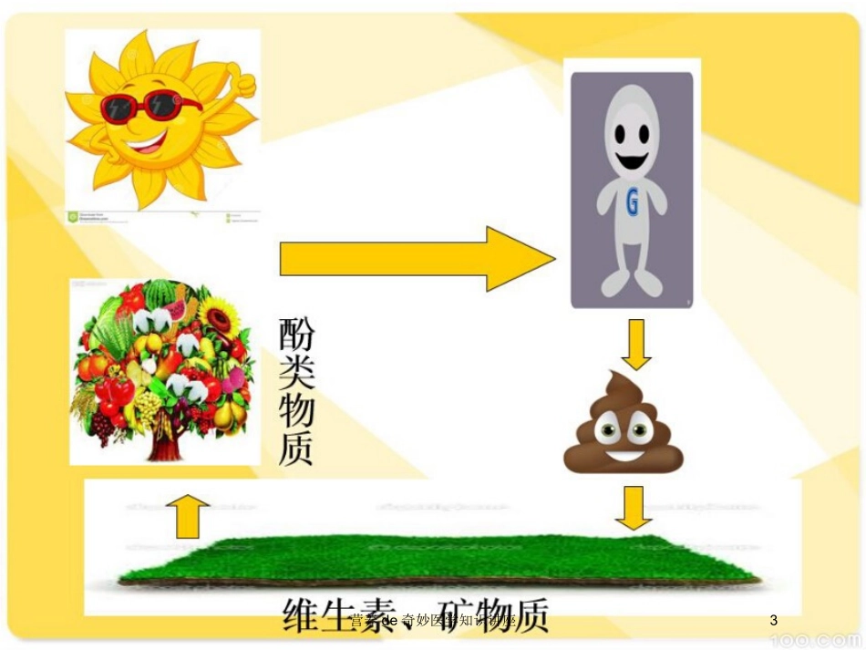 营养的奇妙医学知识讲座培训课件.pptx_第3页