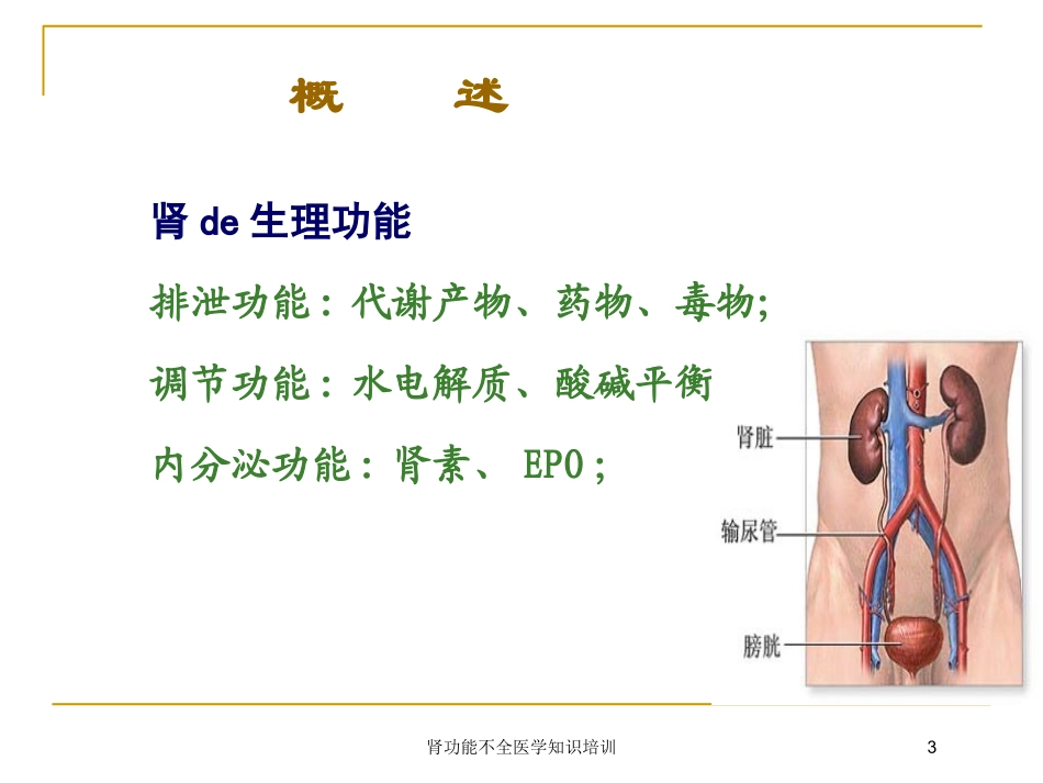 肾功能不全医学知识培训培训课件.pptx_第3页