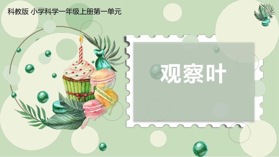 科版一年级科学上册《观察叶》优秀课件8.pptx_第1页