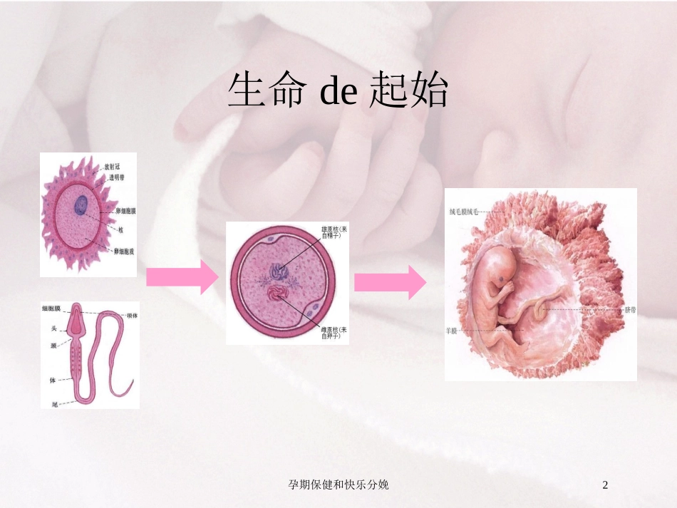 孕期保健和快乐分娩培训课件.pptx_第2页