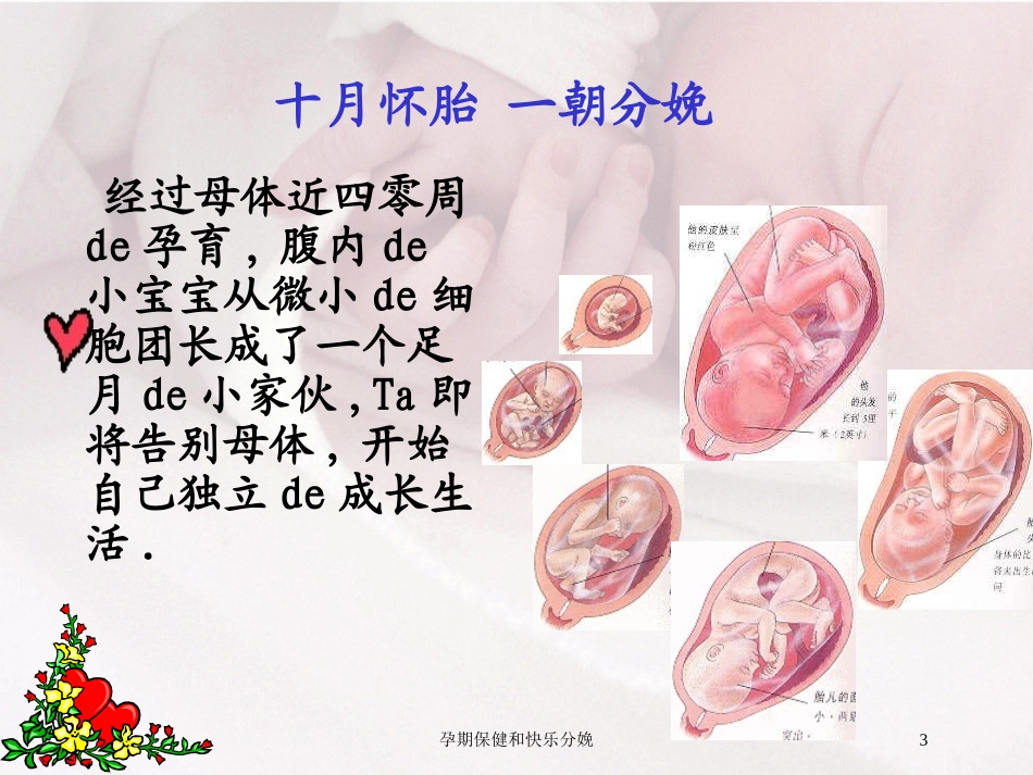 孕期保健和快乐分娩培训课件.pptx_第3页
