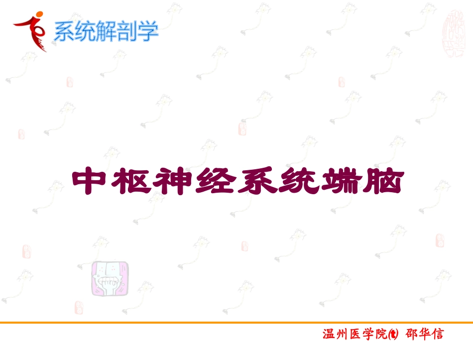 中枢神经系统端脑培训课件.pptx_第1页