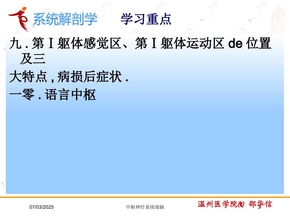 中枢神经系统端脑培训课件.pptx_第3页