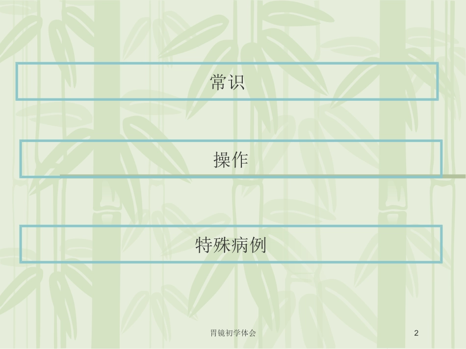 胃镜初学体会培训课件.pptx_第2页