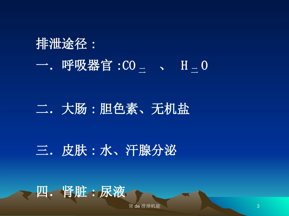 肾的排泄机能培训课件.pptx_第3页