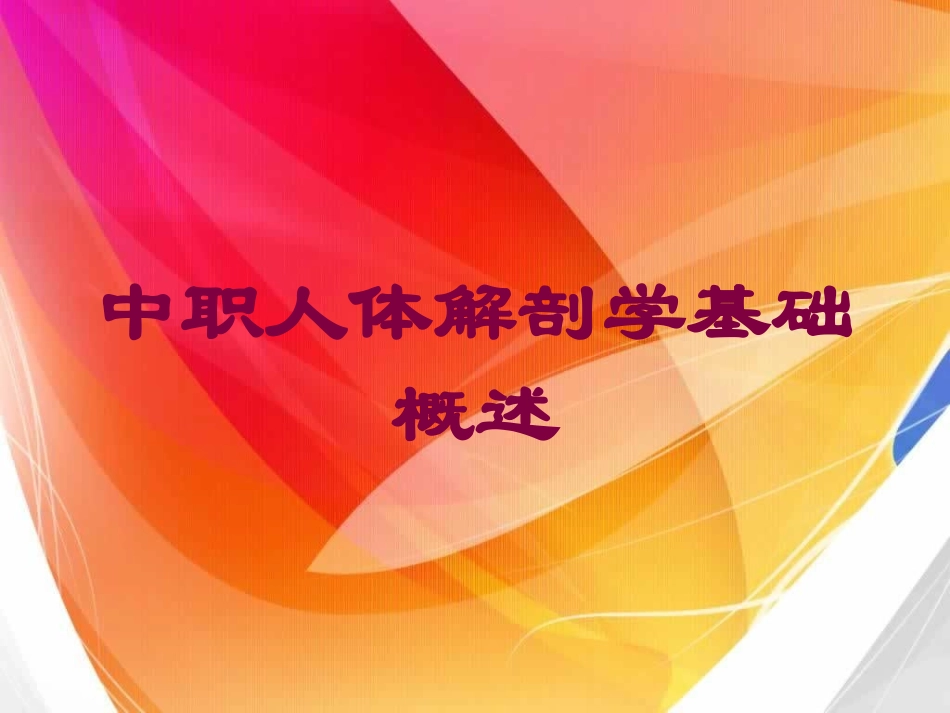 中职人体解剖学基础概述培训课件.pptx_第1页