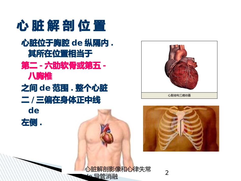心脏解剖影像和心律失常的导管消融培训课件.pptx_第2页