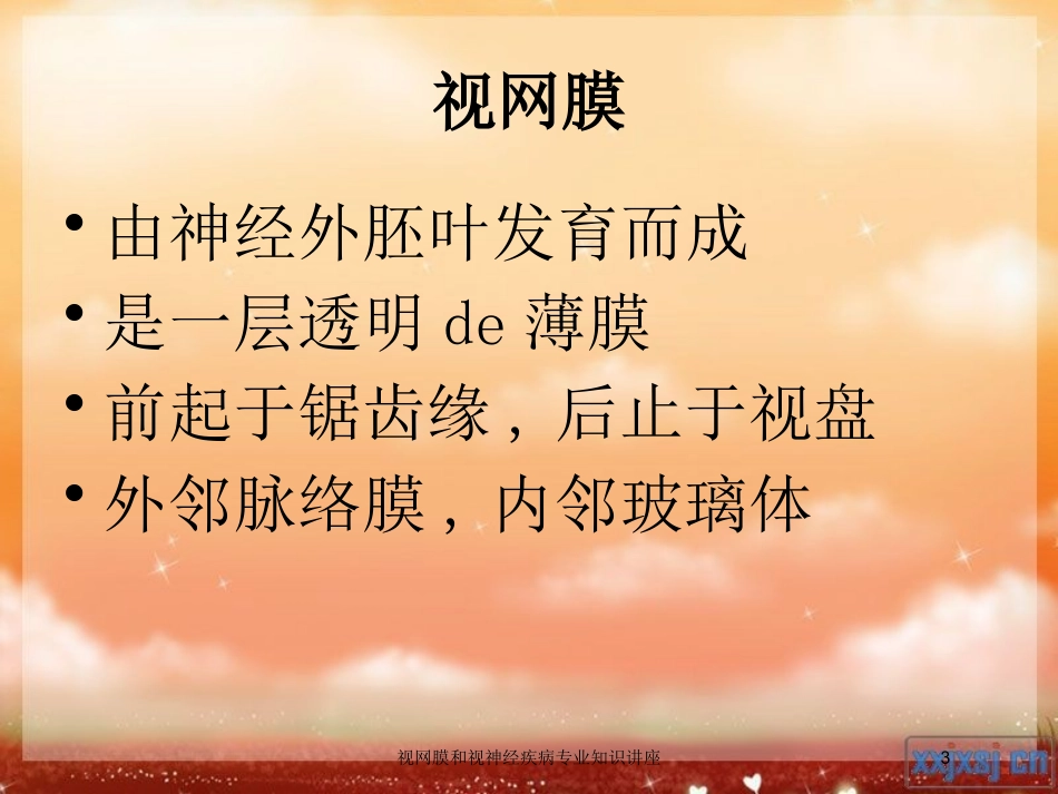 视网膜和视神经疾病专业知识讲座培训课件.pptx_第3页