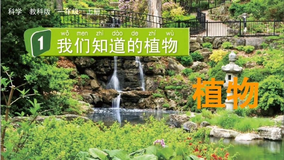 科版一年级科学上册《我们知道的植物》课件1.pptx_第1页