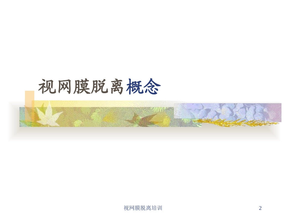 视网膜脱离培训培训课件.pptx_第2页