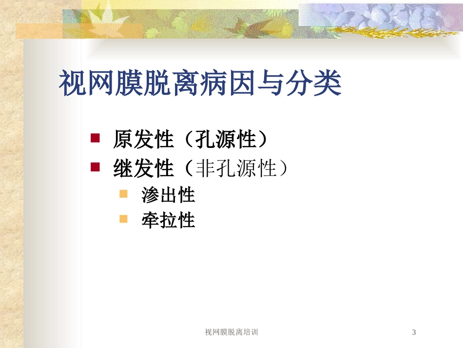 视网膜脱离培训培训课件.pptx_第3页