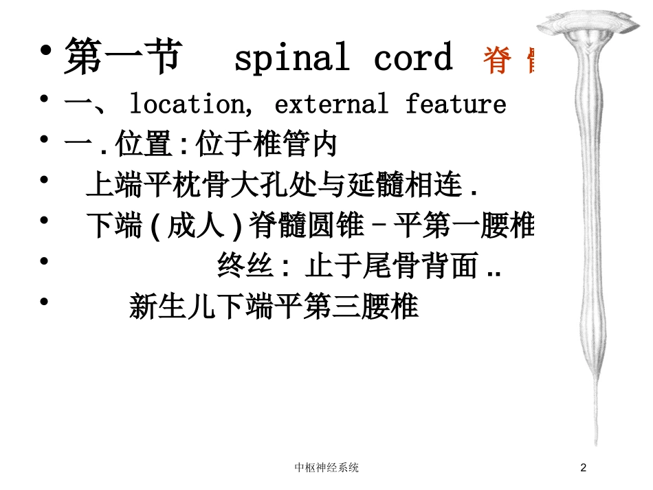 中枢神经系统培训课件.pptx_第2页