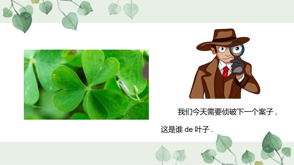 科版一年级科学上册《这是谁的叶_》教学课件10.pptx_第2页