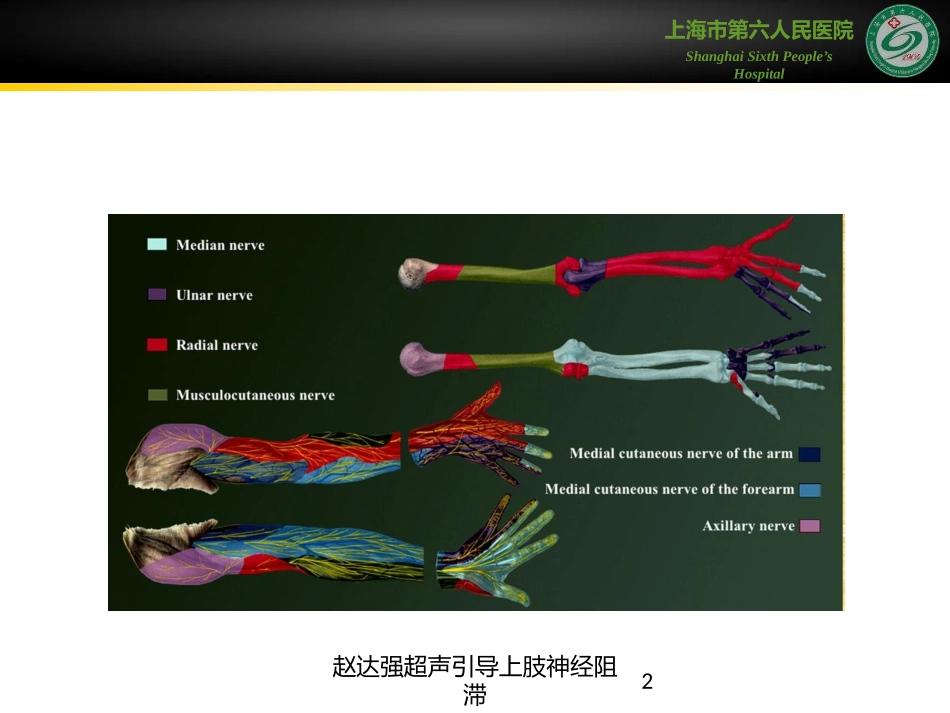 赵达强超声引导上肢神经阻滞培训课件.pptx_第2页