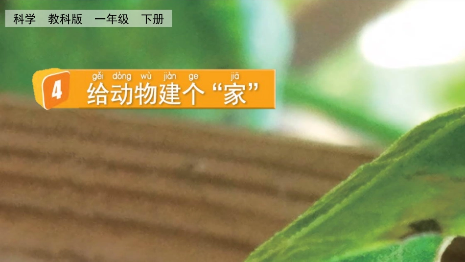 教科版一年级科学下册《给动物建个“家”》1.pptx_第1页