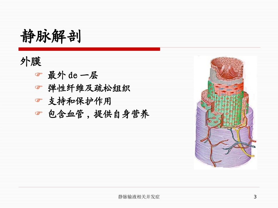 静脉输液相关并发症培训课件.pptx_第3页