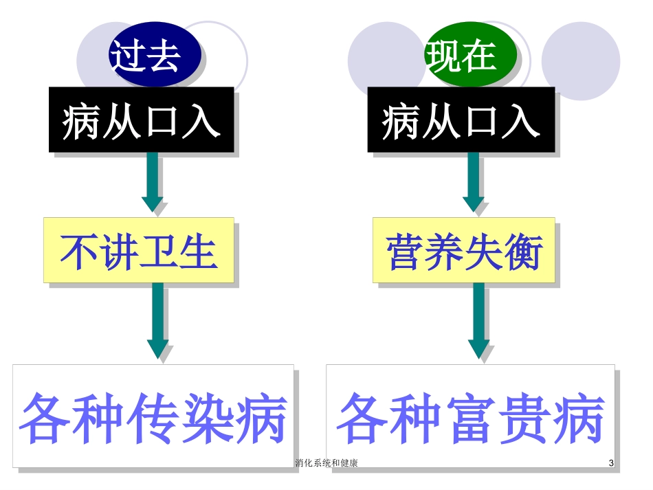 消化系统和健康培训课件.pptx_第3页