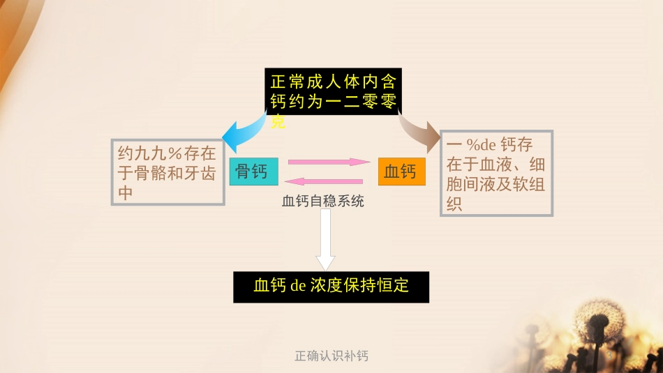 正确认识补钙培训课件.pptx_第3页