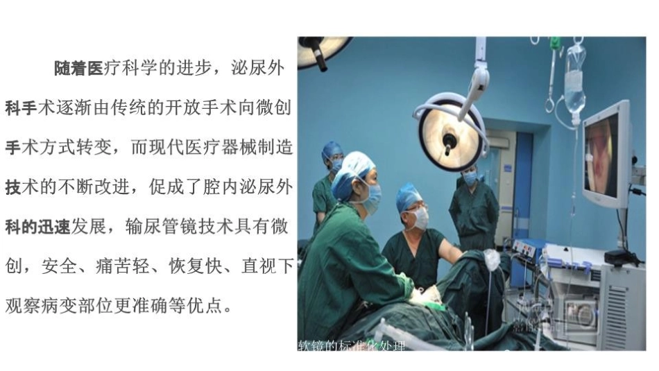输尿管软镜的标准化处理流程培训课件.pptx_第2页
