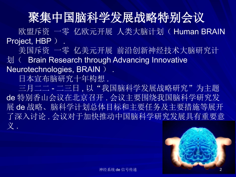 神经系统的信号传递培训课件.pptx_第2页