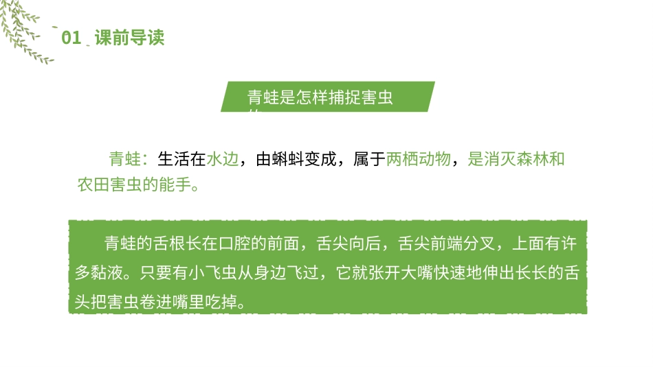人教版一年级语文下册小青蛙课件.pptx_第3页