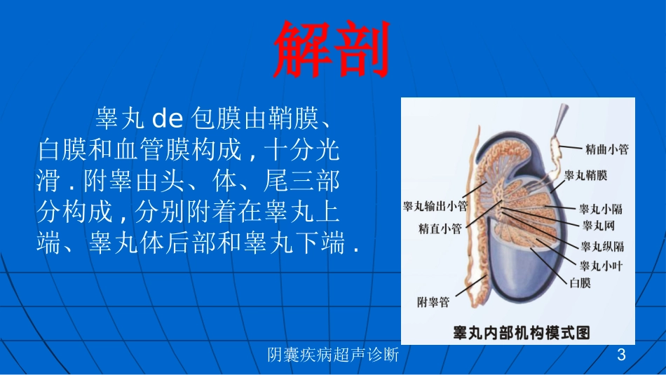 阴囊疾病超声诊断培训课件.pptx_第3页