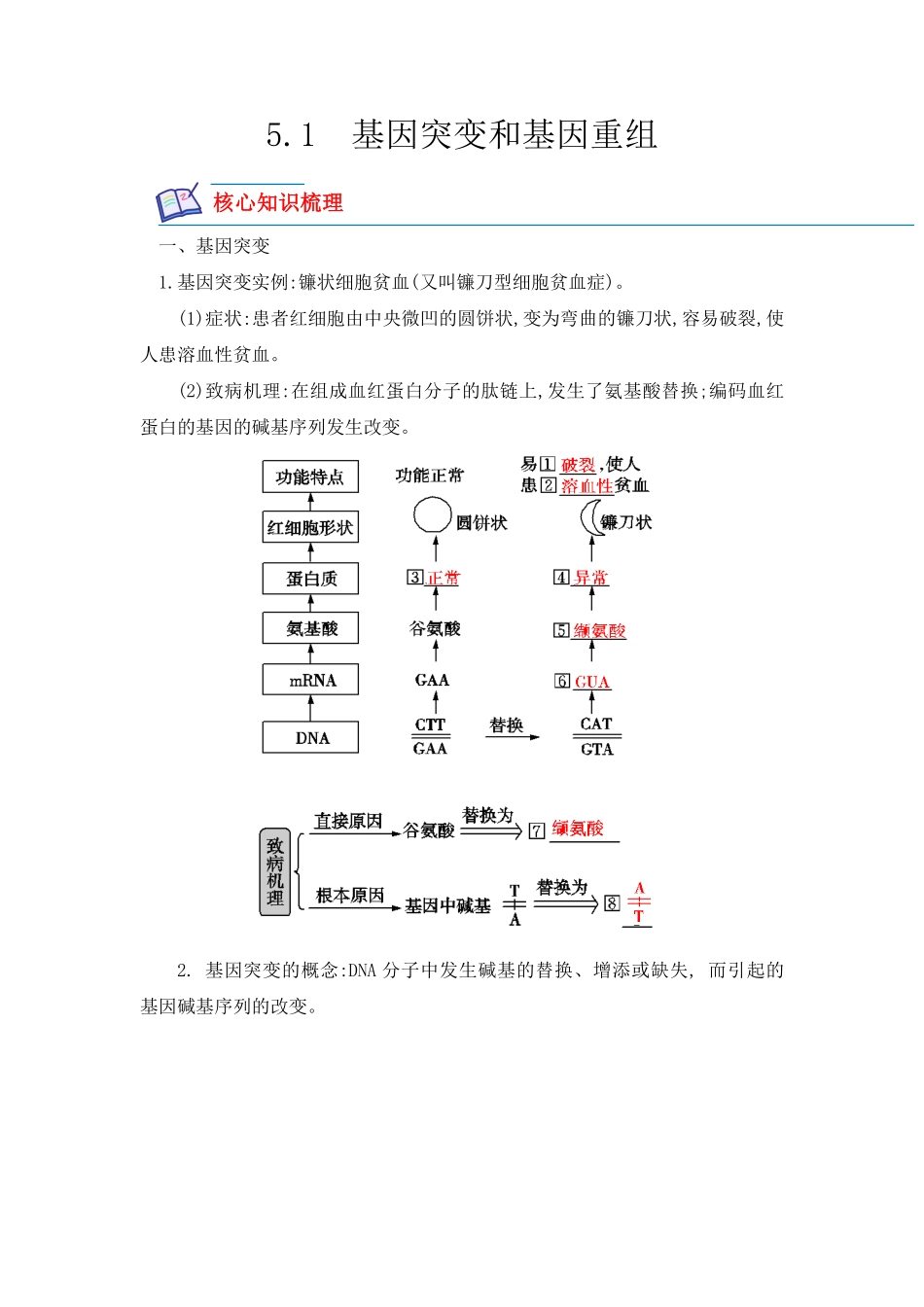 高中试卷-5.1 基因突变及其他变异(含答案).pdf_第1页