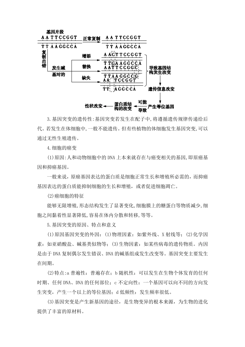 高中试卷-5.1 基因突变及其他变异(含答案).pdf_第2页