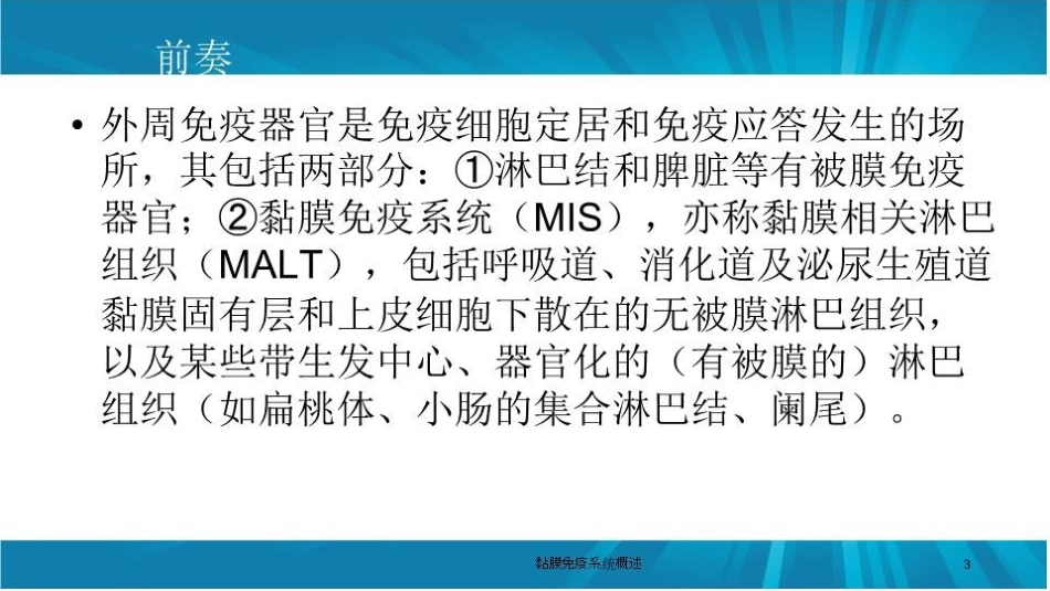 黏膜免疫系统概述培训课件.pptx_第3页