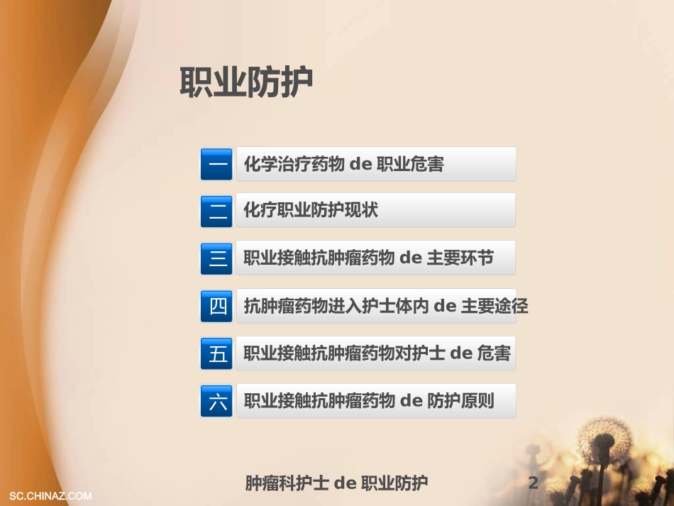 肿瘤科护士的职业防护培训课件.pptx_第2页
