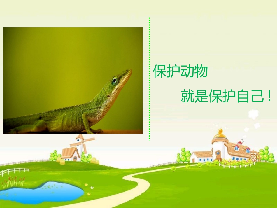 动物日保护野生濒危动物74.pptx_第3页