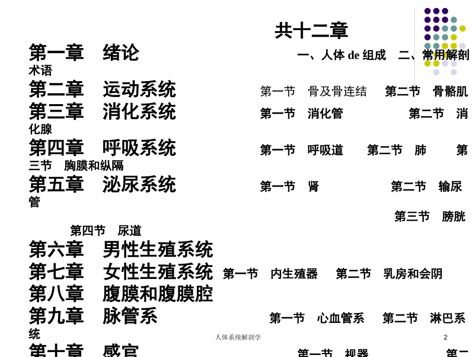 人体系统解剖学培训课件.pptx_第2页