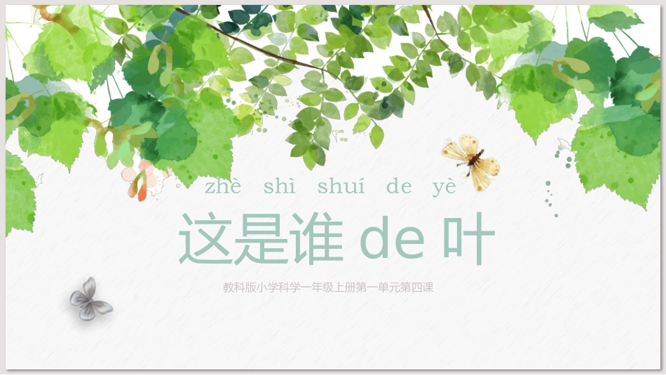 科版一年级科学上册《这是谁的叶_》教学课件2.pptx_第1页