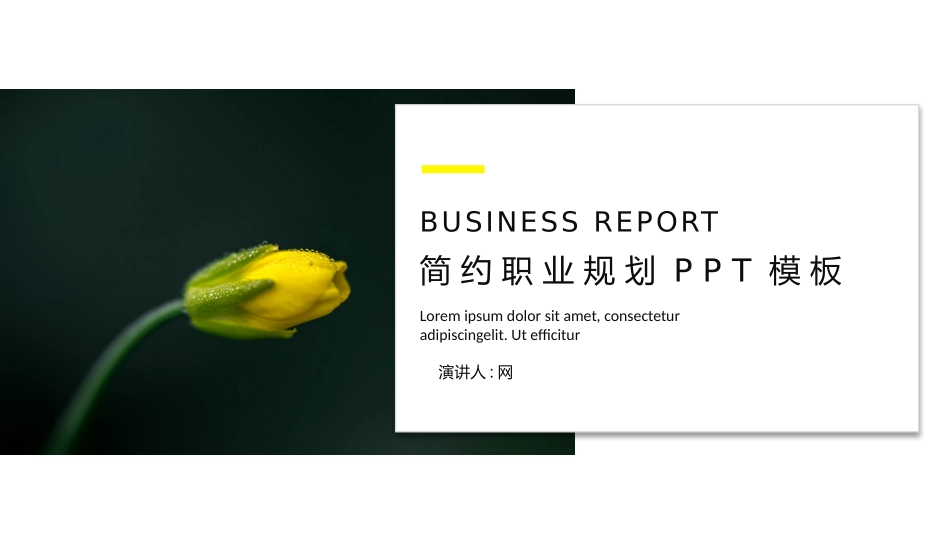 大学生职业规划70.pptx_第1页