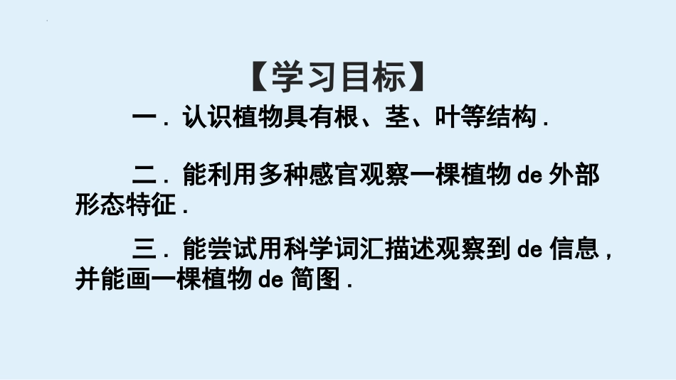 科版一年级科学上册《观察一棵植物》课件3.pptx_第2页