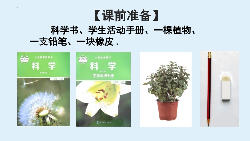 科版一年级科学上册《观察一棵植物》课件3.pptx_第3页